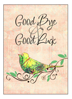 Digitizer Collections :: EmbroideryDesigns.com