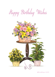 Birthday++flower+bouquet+++plants Birthday++flower+bouquet+++plants