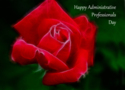 Keywords: administrative assistant, professional, appreciation, rose, red, co-worker, employee