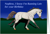Belated Birthday, Nephew Cantering Connemara Pony