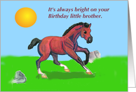 Little Brother Birthday Cantering Colt
