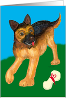 German Shepherd Pup Birthday