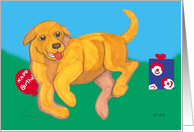 Yellow Labrador Pup Birthday