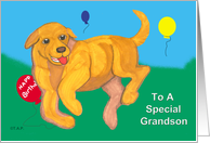 Yellow Lab Puppy Birthday for GrandSon
