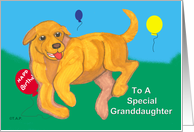 Yellow Lap Puppy for GrandDaughter