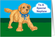 Golden Retriever Puppy Birthday for Nephew