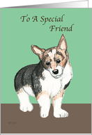 For Friend Corgi Dog, Birthday