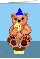 Teddy Bear Sixth Birthday